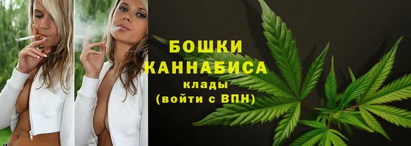 гашик Арсеньев