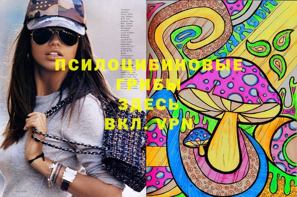 гашик Арсеньев