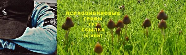 гашик Арсеньев