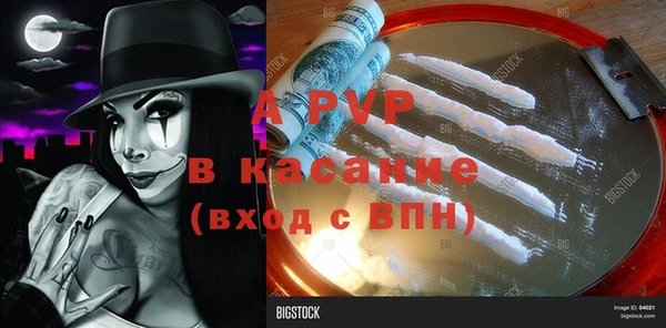 гашик Арсеньев