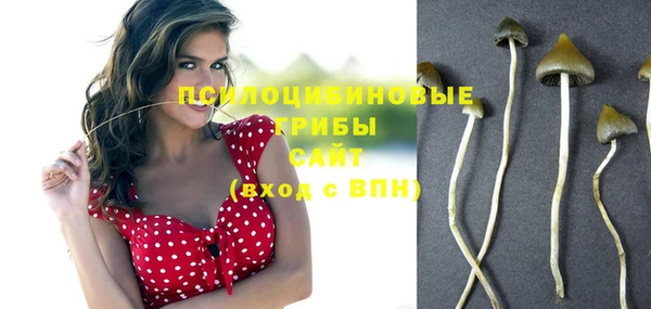 гашик Арсеньев
