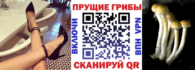 Псилоцибиновые грибы Magic Shrooms  Купить где  Городец 